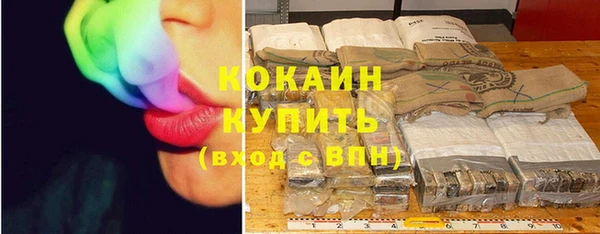 спайс Богородицк