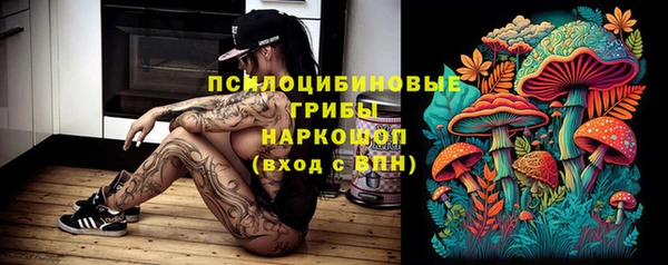 трава Богданович