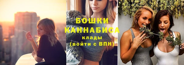 трава Богданович