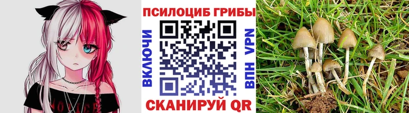 МЕГА зеркало  Дрезна  Галлюциногенные грибы ЛСД 